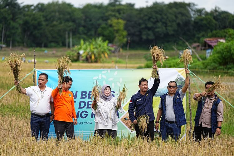 PLTS Irigasi Bukit Asam (PTBA) Dukung Pertanian Berkelanjutan