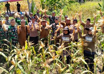 Dandim 0612/Tsm Letkol Inf Raden Henra Sukmadjidibrata Panen Raya Jagung dan Penanaman Pohon Di Desa Padawaras.