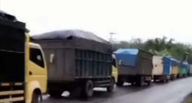 PEMPROV JAMBI RESMI BUKA JALUR DARAT UNTUK 775 TRUK MOBIL ANGKUTAN BATU BARA.